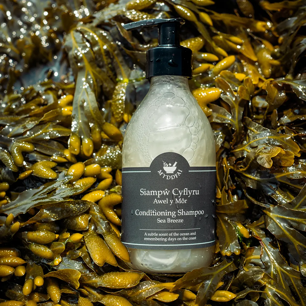 Conditioning Shampoo Awel y Môr (Sea Breeze)