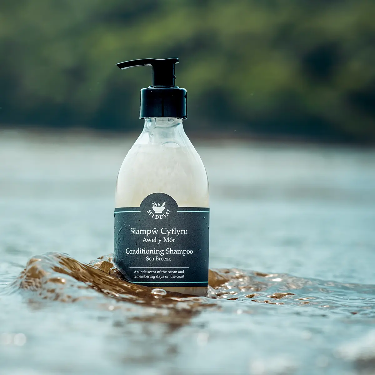 Conditioning Shampoo Awel y Môr (Sea Breeze)