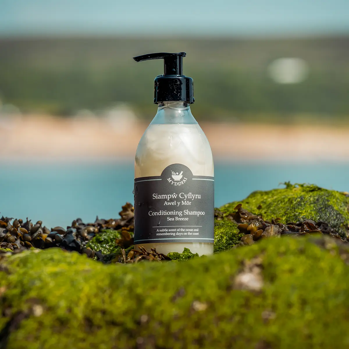 Conditioning Shampoo Awel y Môr (Sea Breeze)