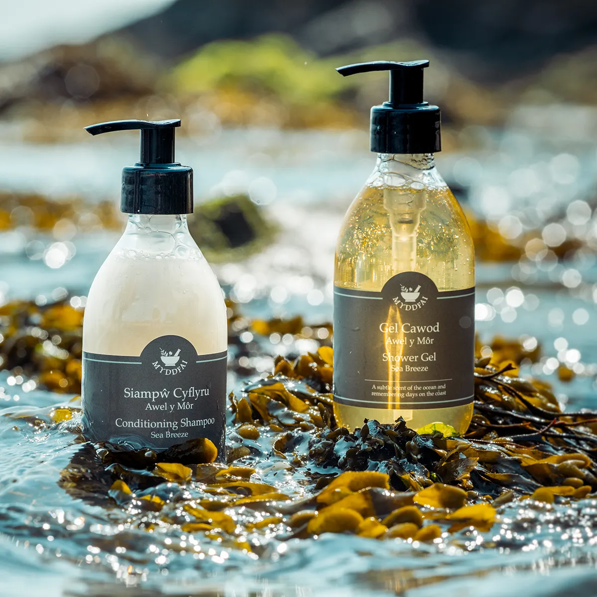 Hair & Body Boxed Set Awel y Môr (Sea Breeze)