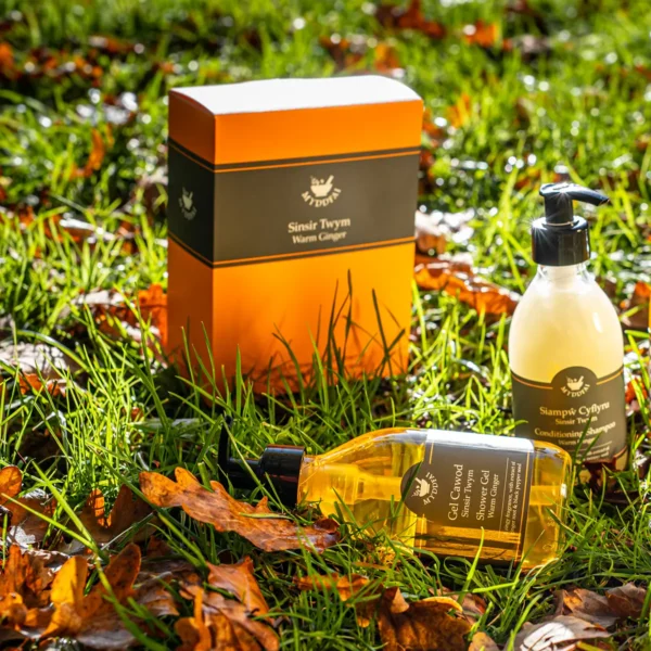 Hair & Body Boxed Set Sinsir Twym (Warm Ginger)
