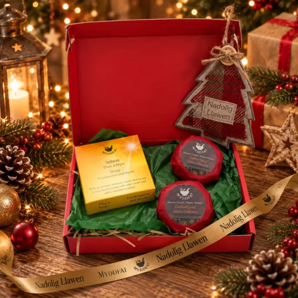 Nadolig Llawen Gift Set