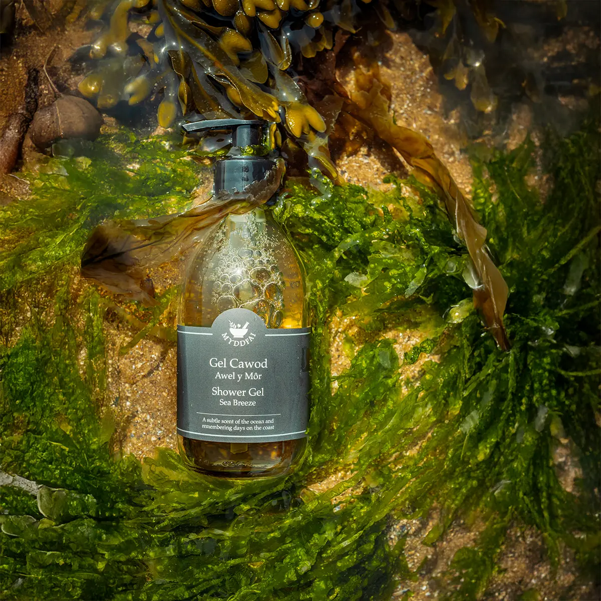 Gel Cawod Awel y Môr (Sea Breeze)