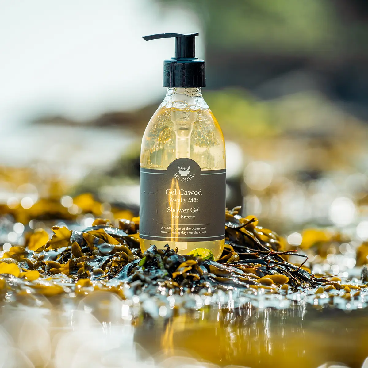 Gel Cawod Awel y Môr (Sea Breeze)