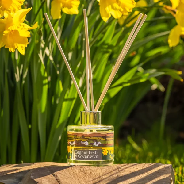 Reed Diffuser Cennin Pedr y Gwanwyn (Spring Daffodil)