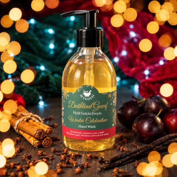 Winter Celebration Hand Wash