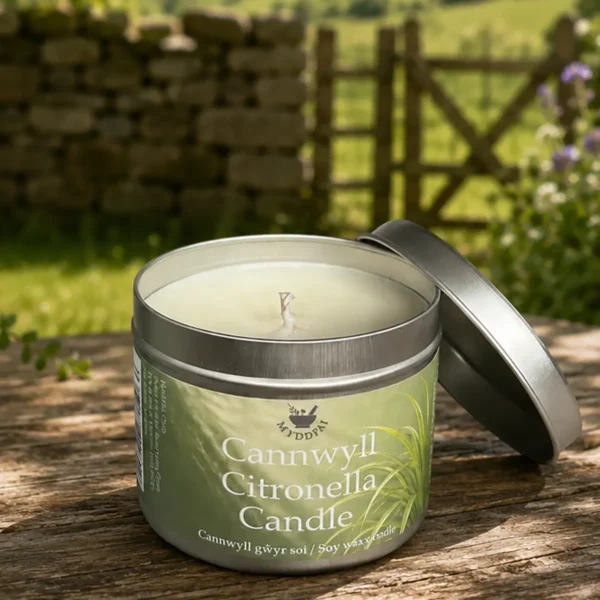 Candle Citronella