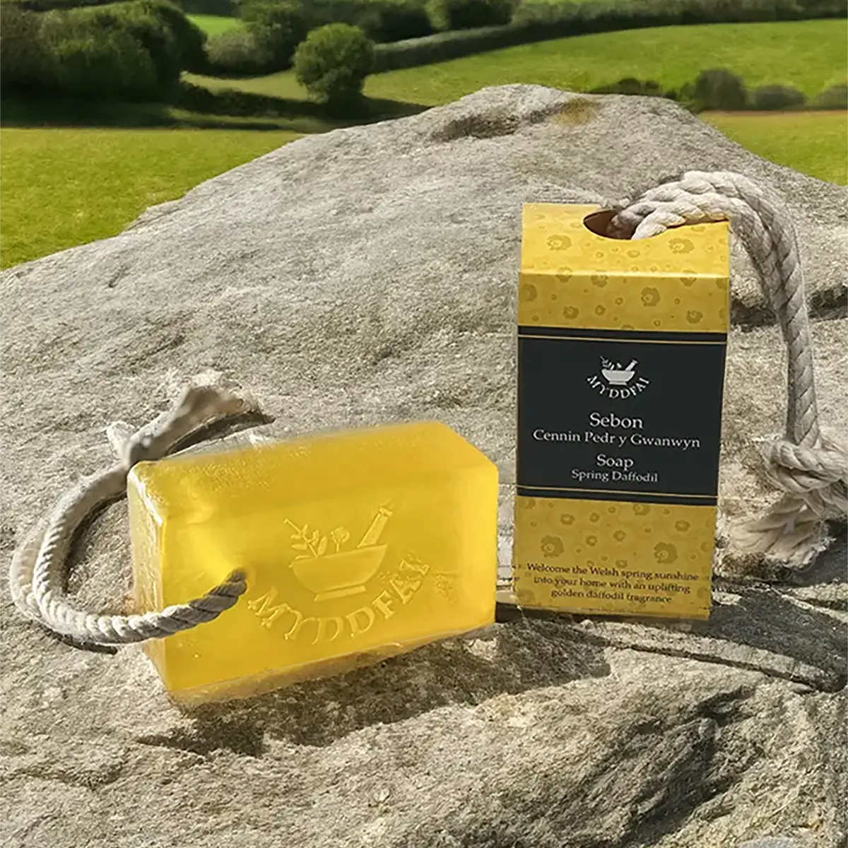 Sebon gyda rhaff Daffodil - Sebon ar raff Cennin Pedr y Gwanwyn
