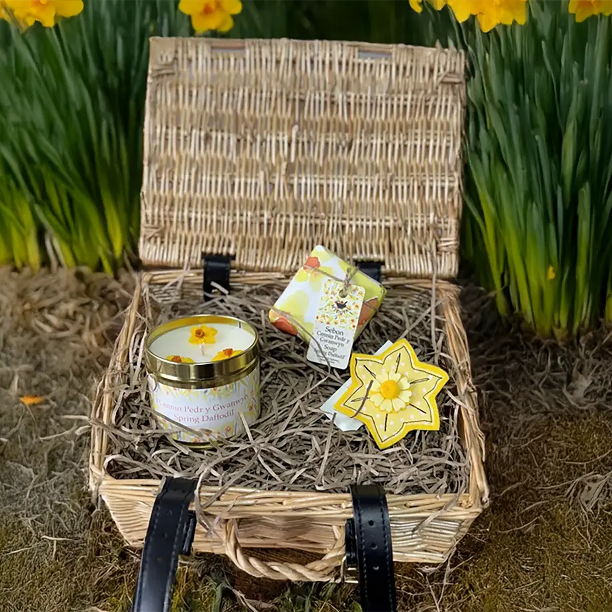 Daffodil Gift Hamper - Hamper Anrheg Cennin Pedr