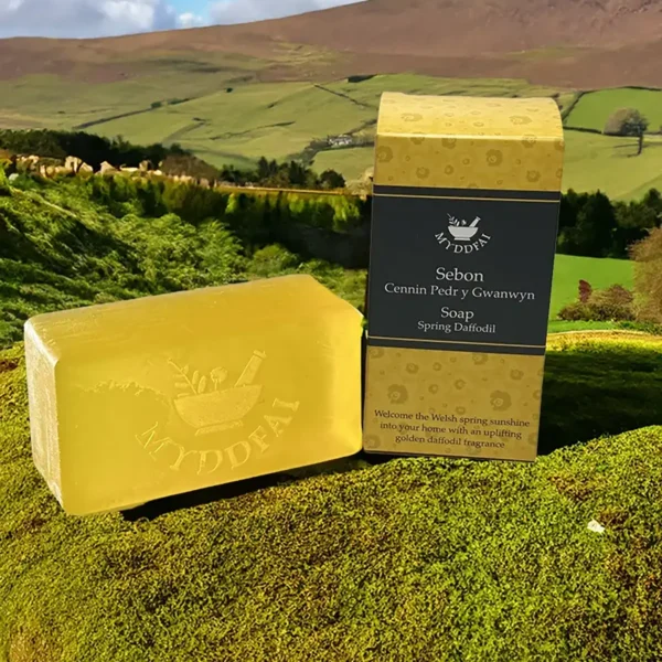 Soap Spring Daffodil - Sebon Cennin Pedr y Gwanwyn