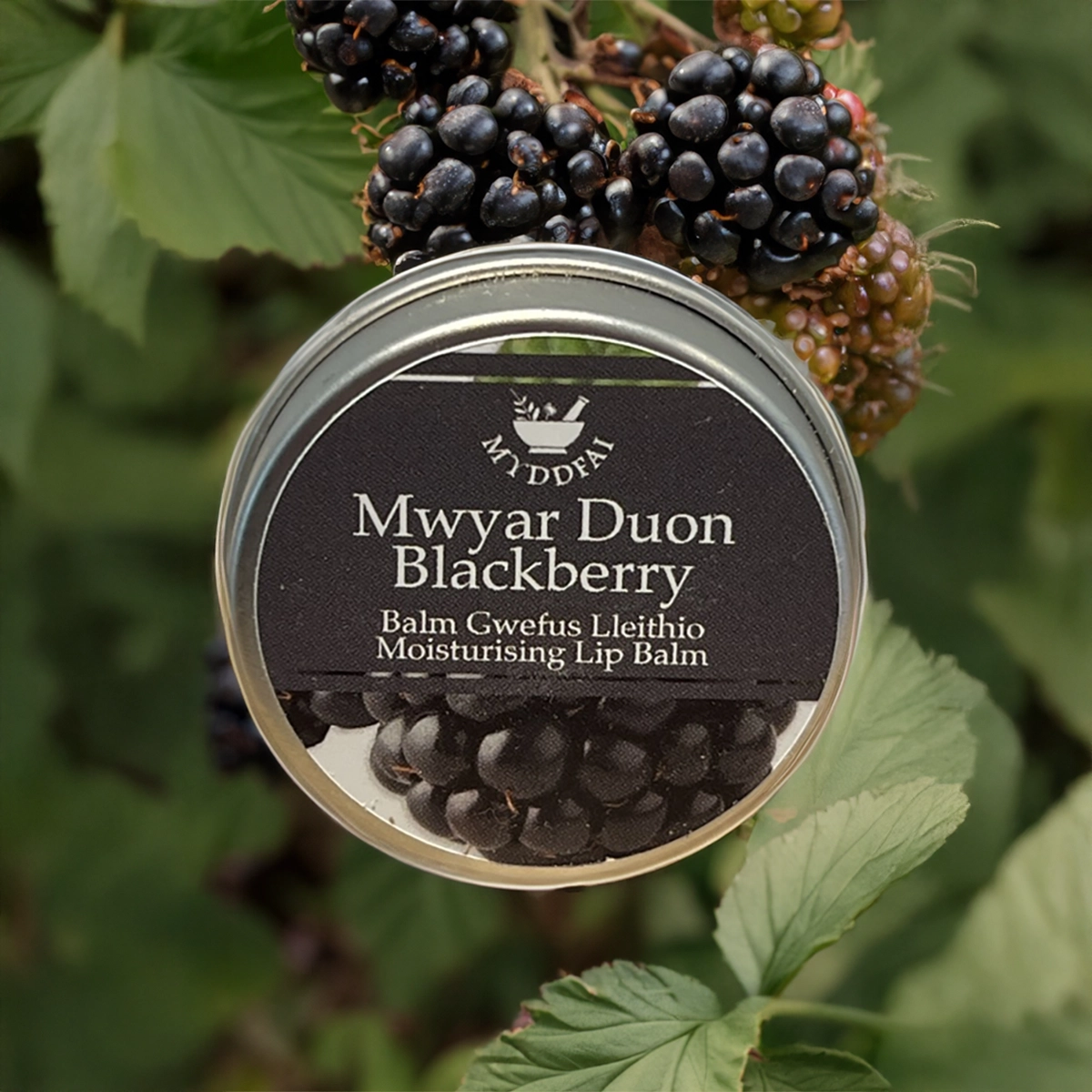 Moisturising Lip Balm Blackberry
