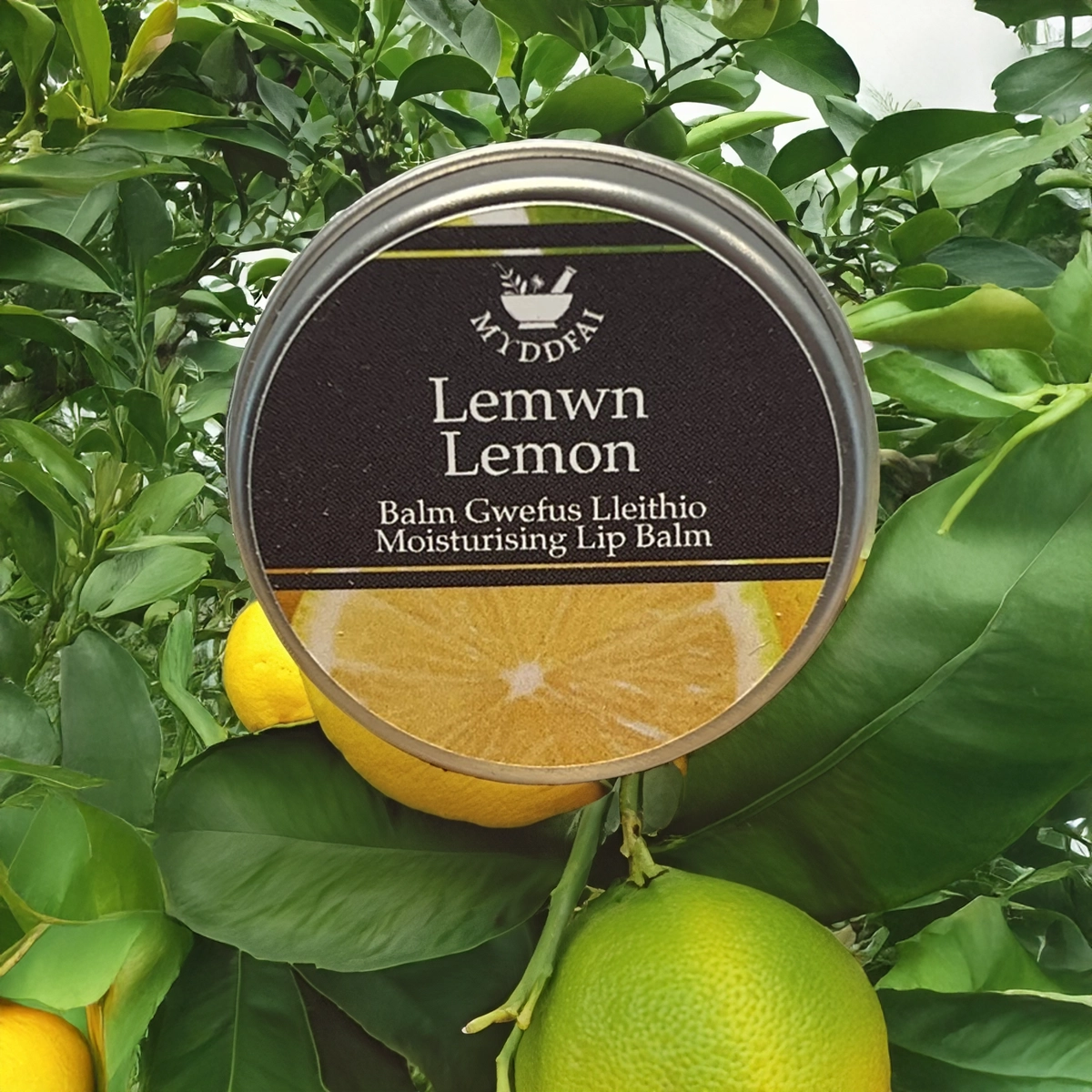 Balm Gwefusau Lleithio Lemon