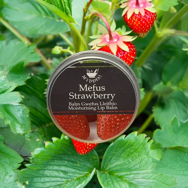 Moisturising Lip Balm Strawberry