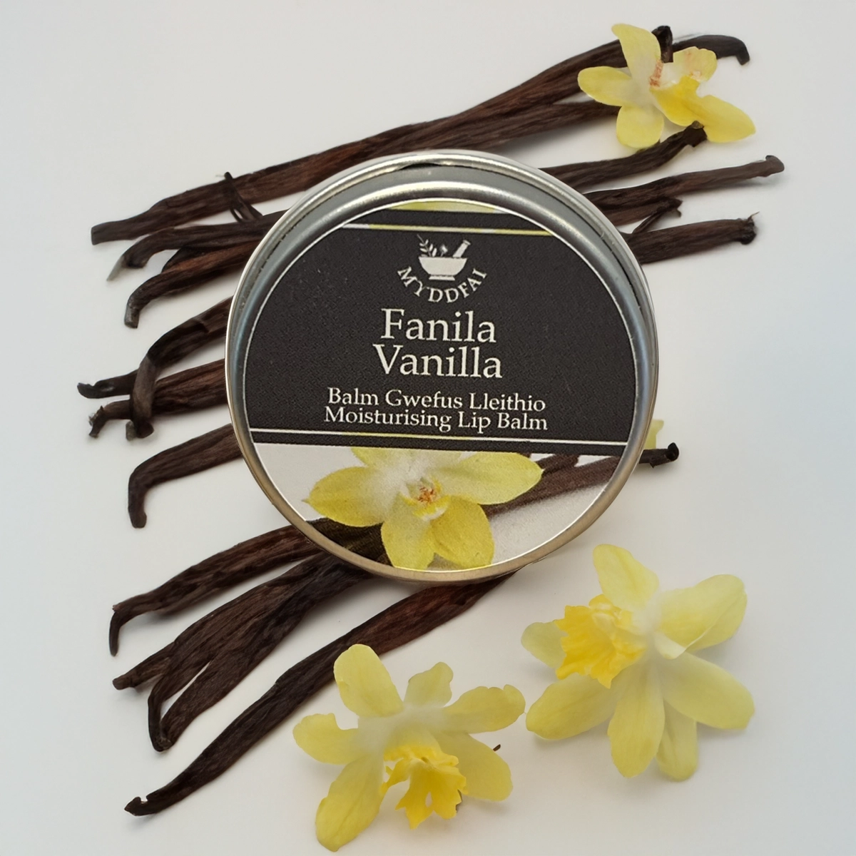 Balm Gwefusau Lleithio Fanila