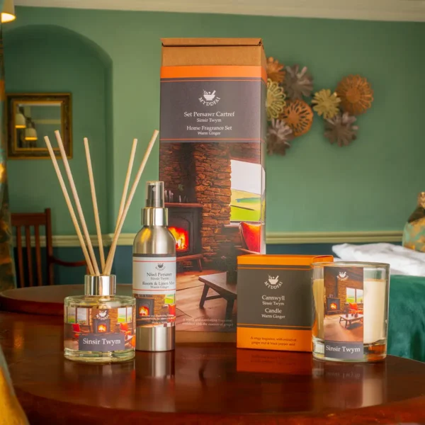 Home Fragrance Set Sinsir Twym (Warm Ginger)